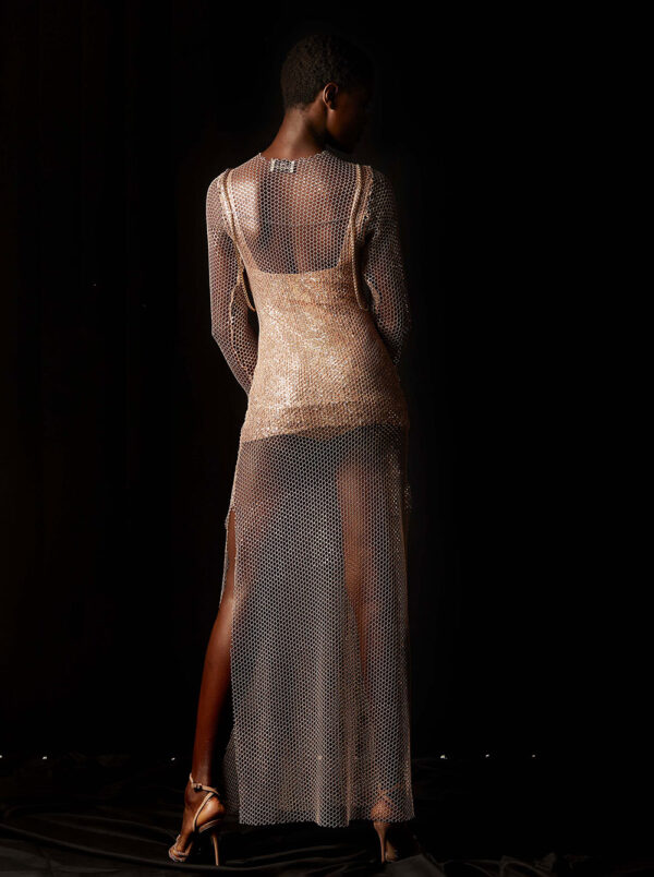 Shimmering Net Dress by Nidodileda